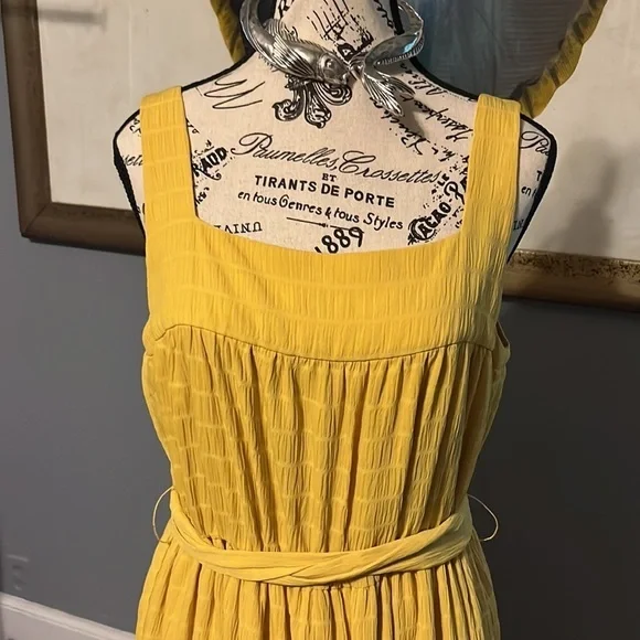 Slate & willow beautiful double lined dress. Elastic waist - Picture 8 of 8